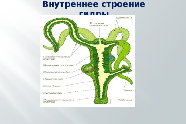 Кракен тг ссылка